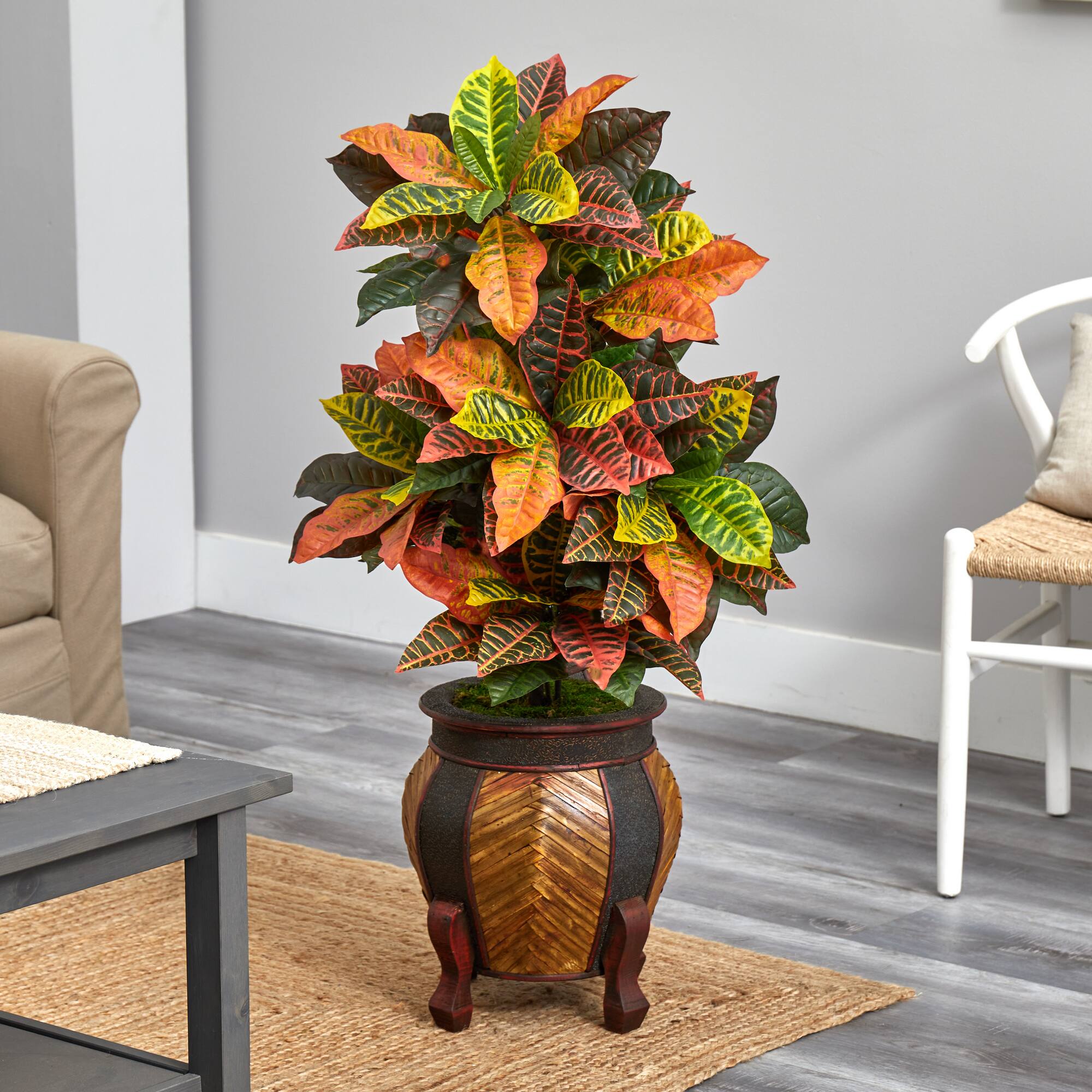 3.5ft. Croton Plant in Decorative Planter